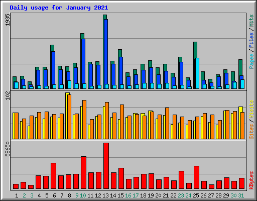 Daily usage for January 2021