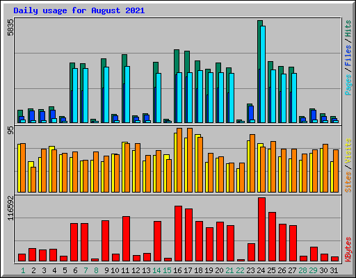 Daily usage for August 2021