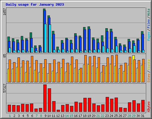 Daily usage for January 2023