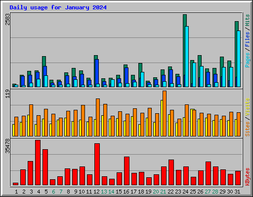 Daily usage for January 2024