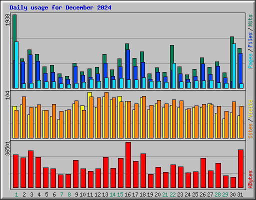 Daily usage for December 2024