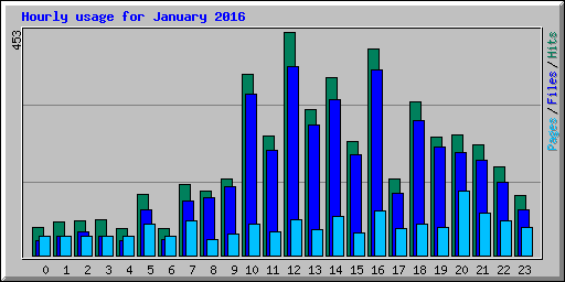 Hourly usage for January 2016