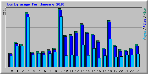 Hourly usage for January 2018