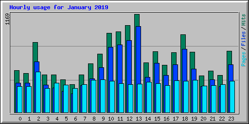 Hourly usage for January 2019
