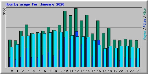 Hourly usage for January 2020