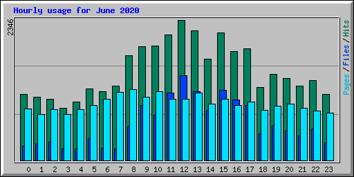 Hourly usage for June 2020