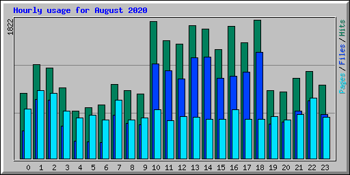 Hourly usage for August 2020