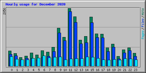 Hourly usage for December 2020