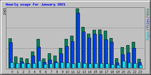 Hourly usage for January 2021