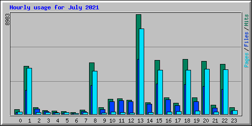 Hourly usage for July 2021