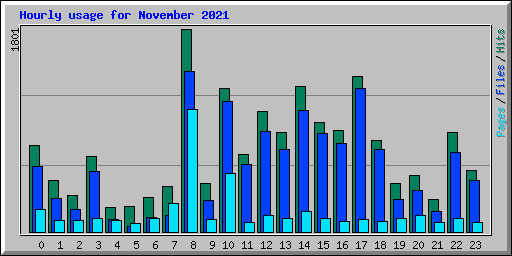 Hourly usage for November 2021