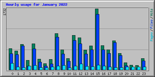 Hourly usage for January 2022