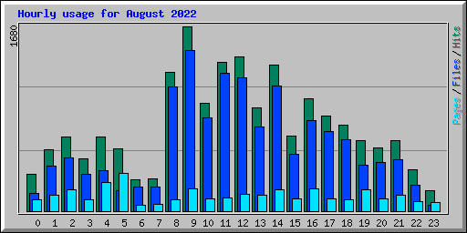 Hourly usage for August 2022