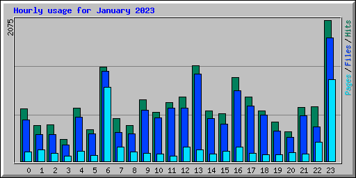 Hourly usage for January 2023