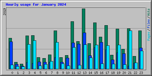 Hourly usage for January 2024