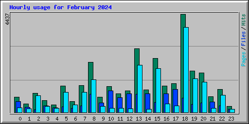 Hourly usage for February 2024