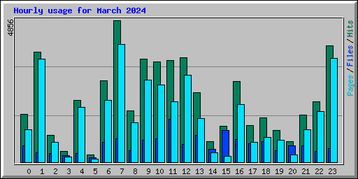 Hourly usage for March 2024