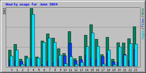 Hourly usage for June 2024