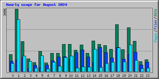 Hourly usage for August 2024