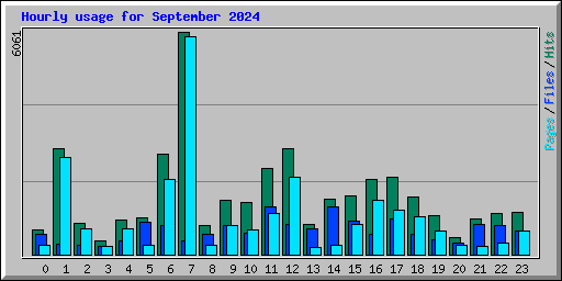 Hourly usage for September 2024