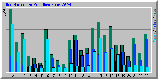 Hourly usage for November 2024