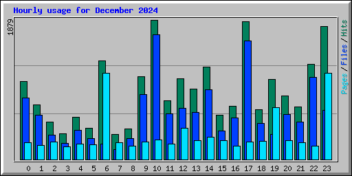 Hourly usage for December 2024