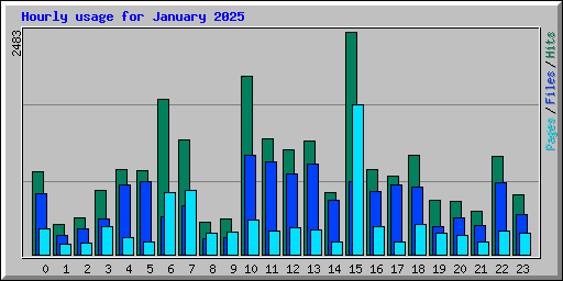 Hourly usage for January 2025