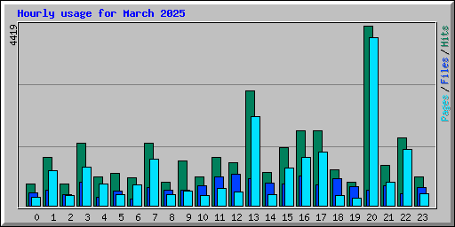Hourly usage for March 2025