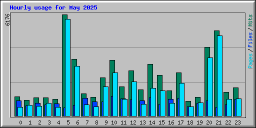 Hourly usage for May 2025