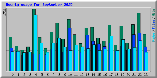 Hourly usage for September 2025