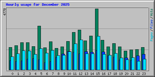 Hourly usage for December 2025