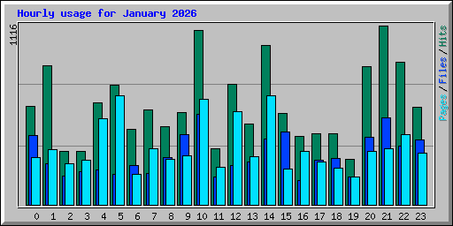 Hourly usage for January 2026