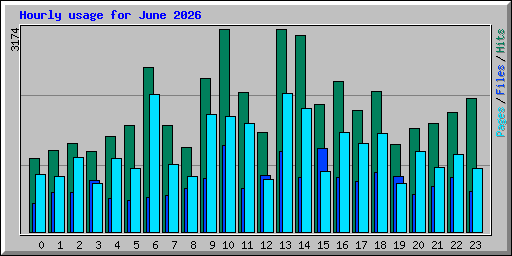 Hourly usage for June 2026