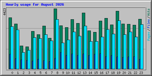 Hourly usage for August 2026